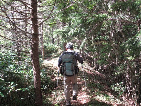 登山道